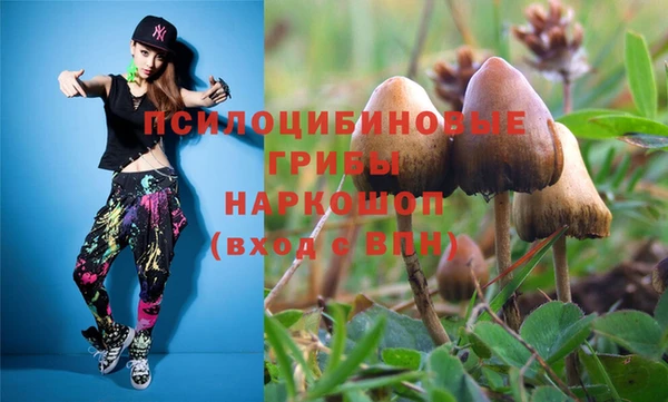 бутират Новодвинск