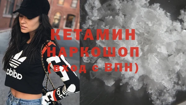 шишки Каменка