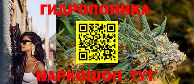 a pvp Дубна