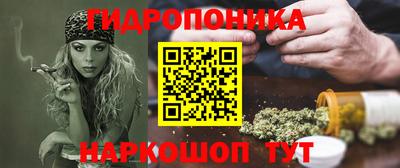 a pvp Дубна