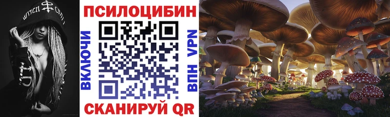 Галлюциногенные грибы Cubensis  закладка  Кандалакша 